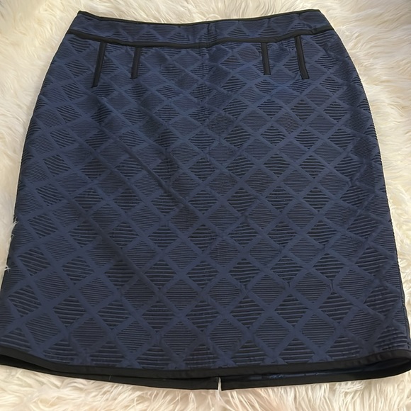 Ann Taylor Dresses & Skirts - 🌸NWOT Gorgeous Ann Taylor Skirt Navy with Black Size 10 Never Worn